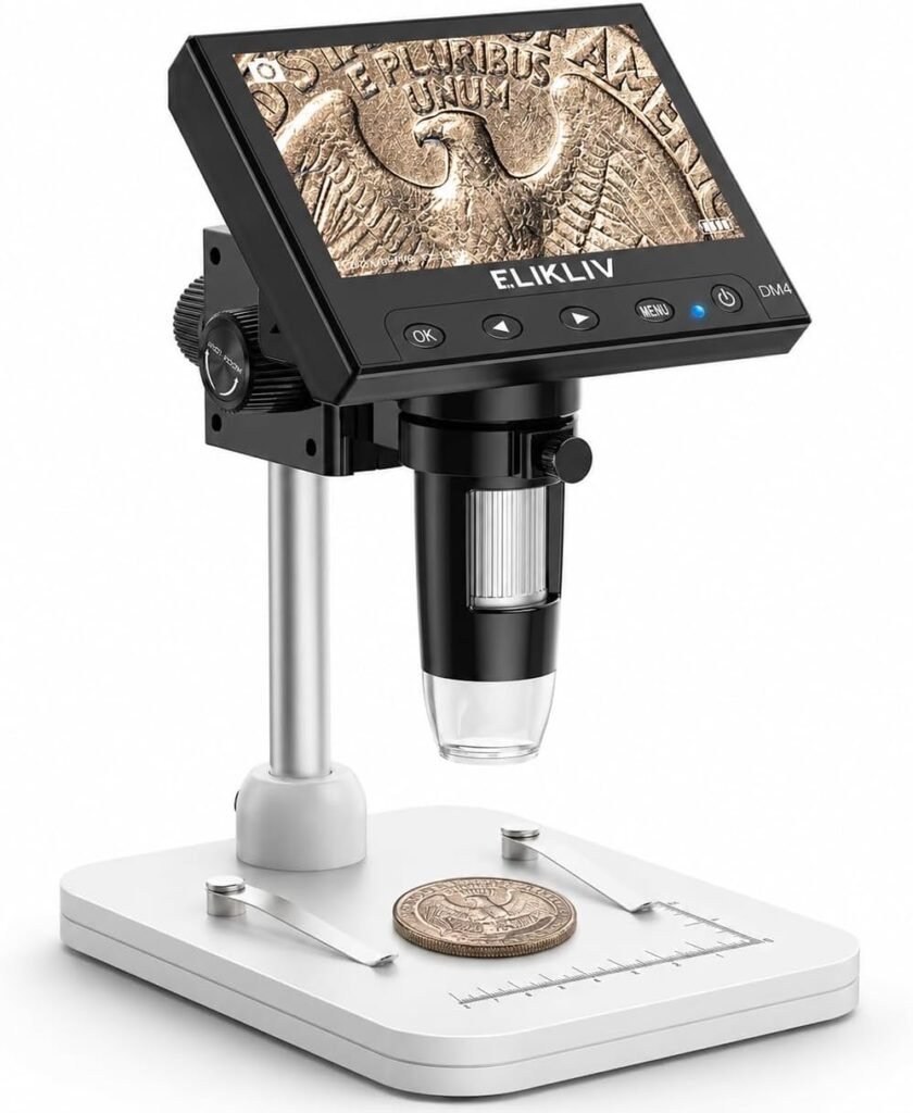 coin collecting for beginners